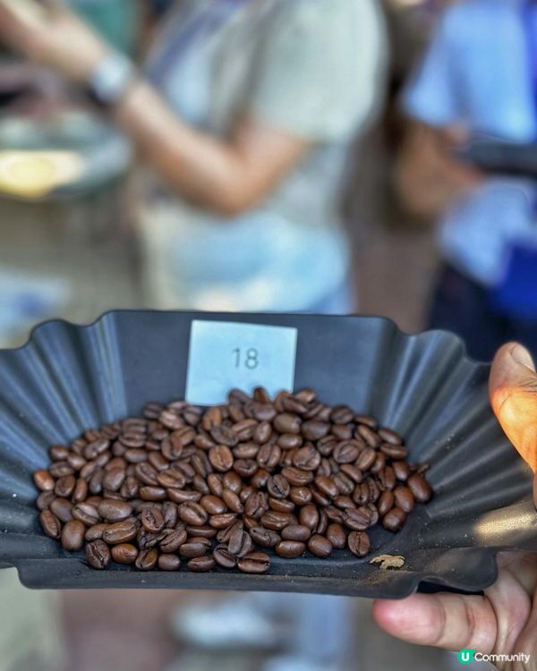 咖啡烘焙治癒之旅☕！手沖精品咖啡🤤