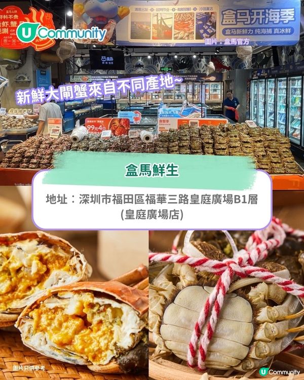 【深圳大閘蟹2025】深圳5間必食大閘蟹餐廳 老字號/米芝蓮團隊 低至¥20一隻！