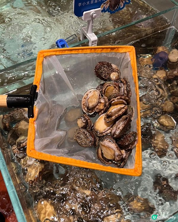 又嚟燒烤🤤！李小太海鮮燒烤開漁季到啦！🦀🦐🦪