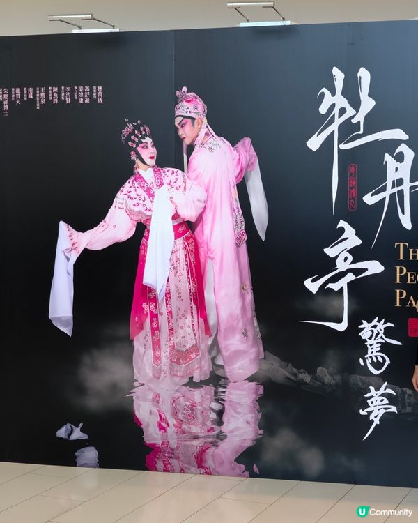 假日好去處 🩰🪗🪈🎸戲曲中心欣賞粵劇