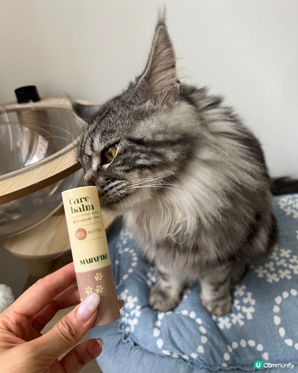 終於買到潤爪膏！😼