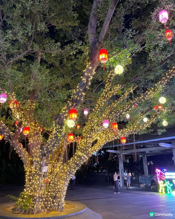 小編日常：🌕黃大仙祠中秋綵燈會🥮