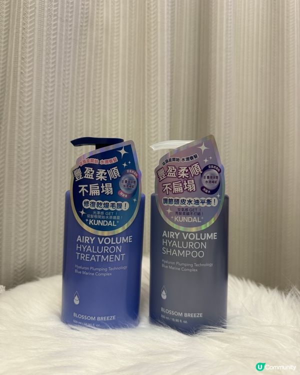染髮必備！蓬鬆洗護拯救受損髮 🤩✨ 