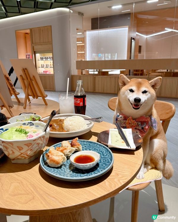 / 帶毛孩食日式居酒屋 \