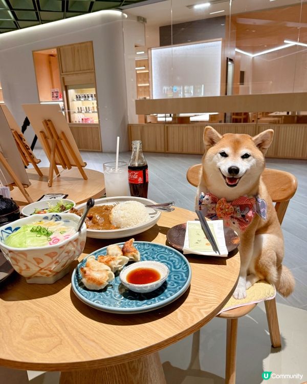 / 帶毛孩食日式居酒屋 \