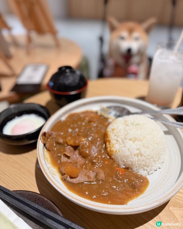 / 帶毛孩食日式居酒屋 \