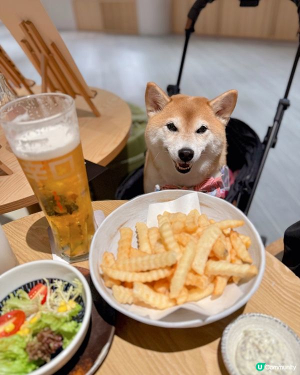 / 帶毛孩食日式居酒屋 \