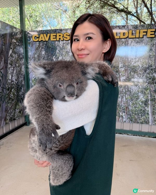 珀斯動物園