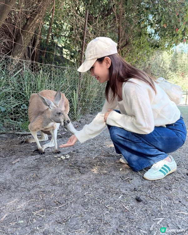 珀斯動物園