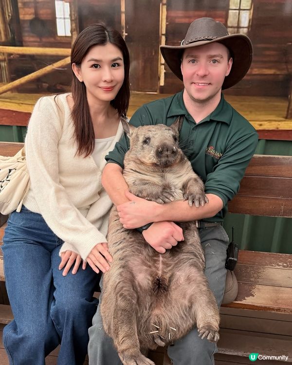 珀斯動物園
