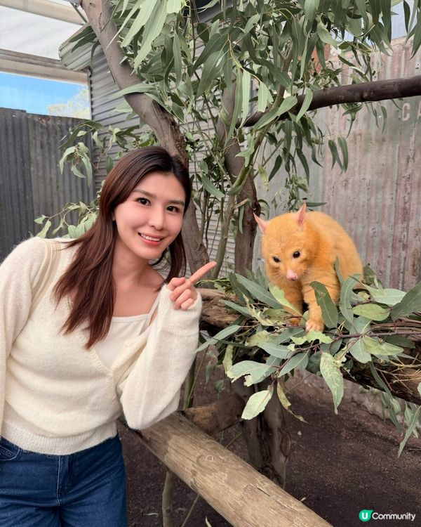 珀斯動物園