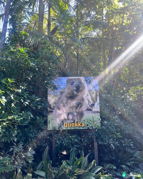 珀斯動物園