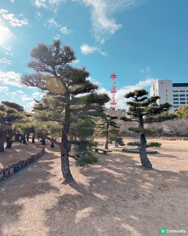 高松必去🏯 松本城黑瓦建築超震撼 ！