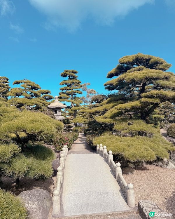 高松必去🏯 松本城黑瓦建築超震撼 ！