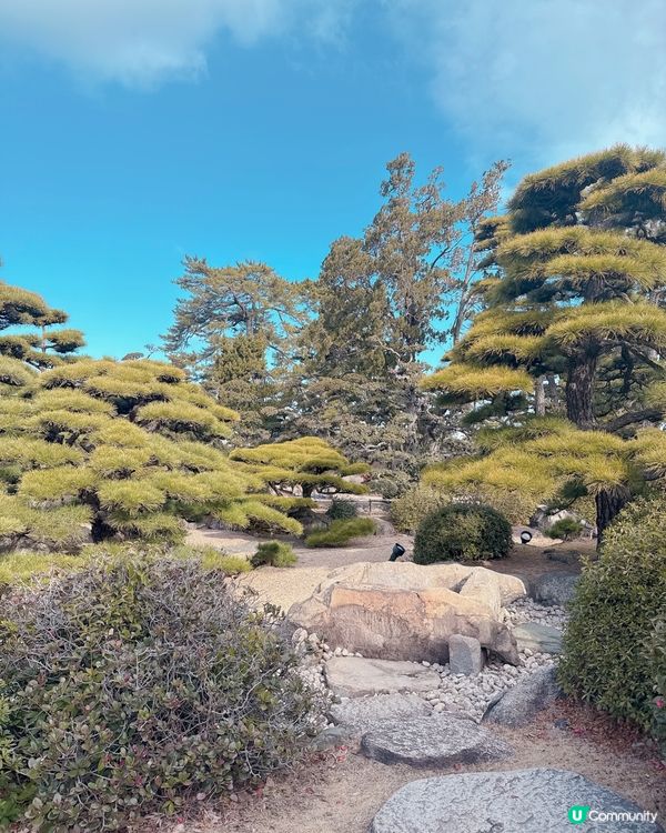 高松必去🏯 松本城黑瓦建築超震撼 ！