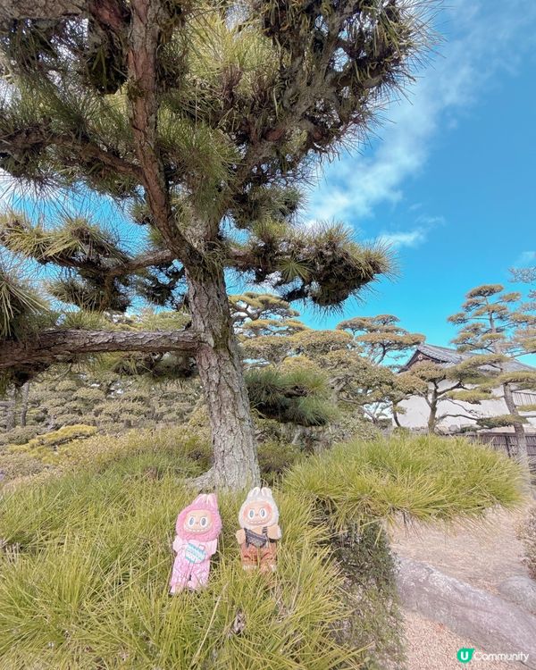高松必去🏯 松本城黑瓦建築超震撼 ！