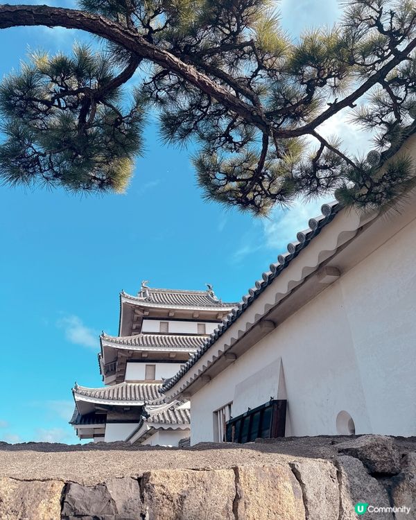 高松必去🏯 松本城黑瓦建築超震撼 ！