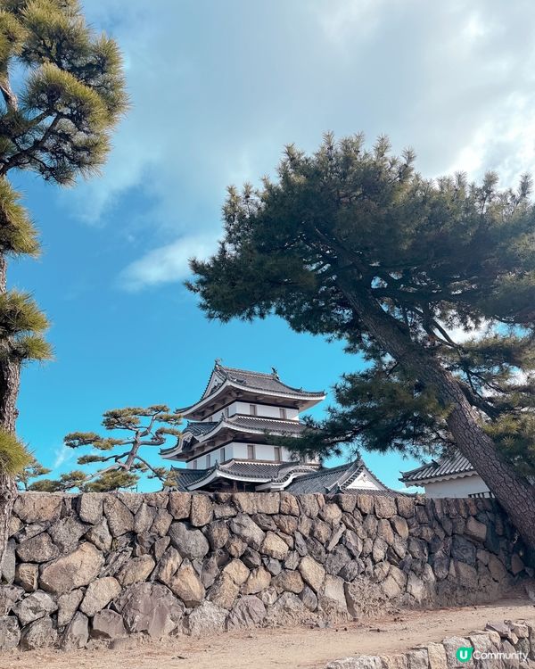 高松必去🏯 松本城黑瓦建築超震撼 ！
