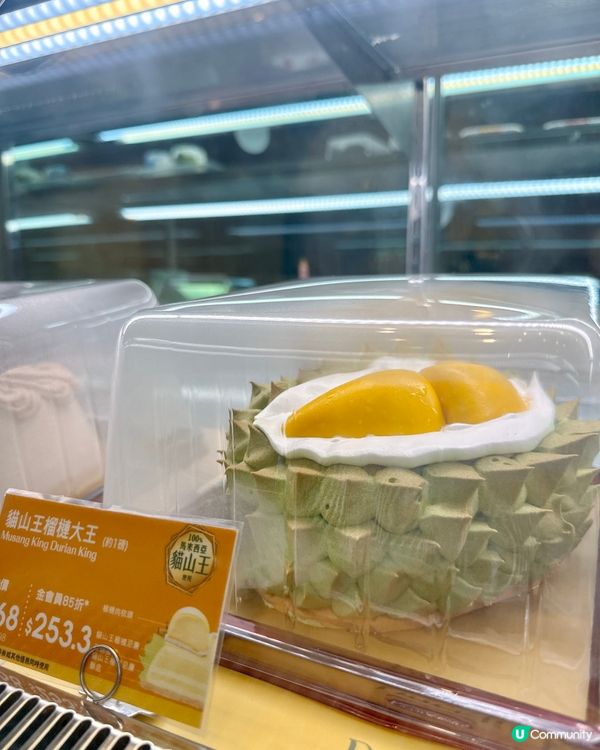 10月都選了什麼生日蛋糕🎂…jelly cat迷唔好錯過