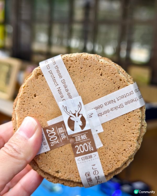 四處都是鹿的奈良公園