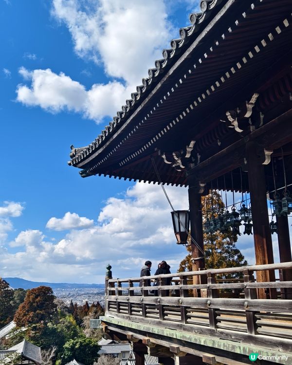 四處都是鹿的奈良公園