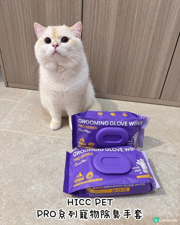 貓奴必備！椰子香免沖水手套 🥥✨ 乾淨晒！