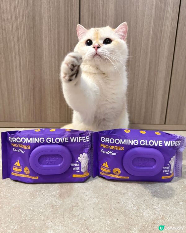 貓奴必備！椰子香免沖水手套 🥥✨ 乾淨晒！