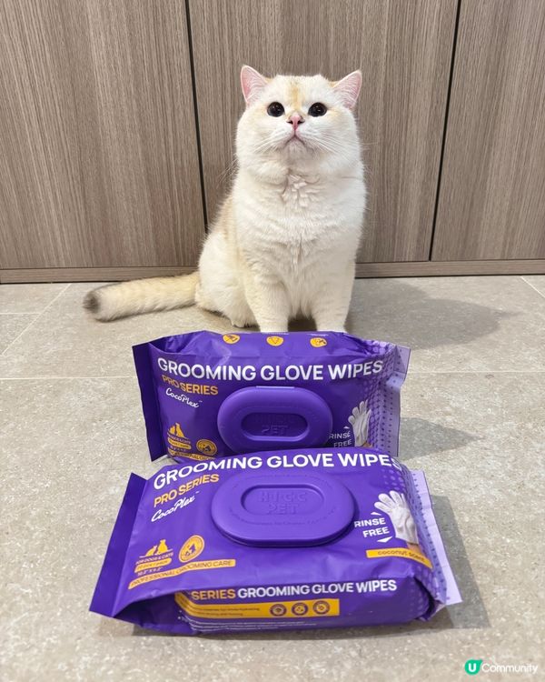 貓奴必備！椰子香免沖水手套 🥥✨ 乾淨晒！