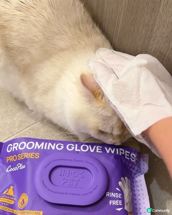 貓奴必備！椰子香免沖水手套 🥥✨ 乾淨晒！