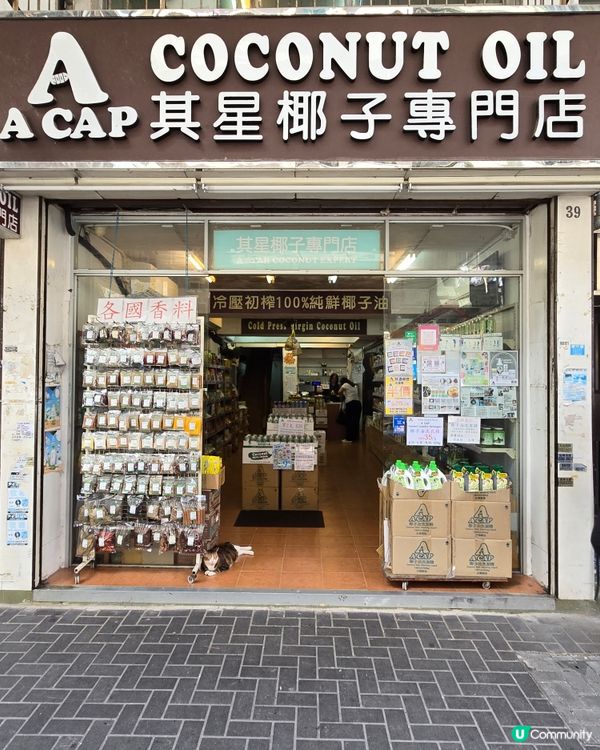 椰子專家