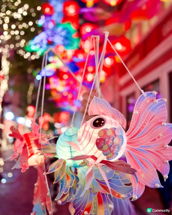 打卡必去｜利東街｜中秋綵燈盛宴｢喜魚映花月｣