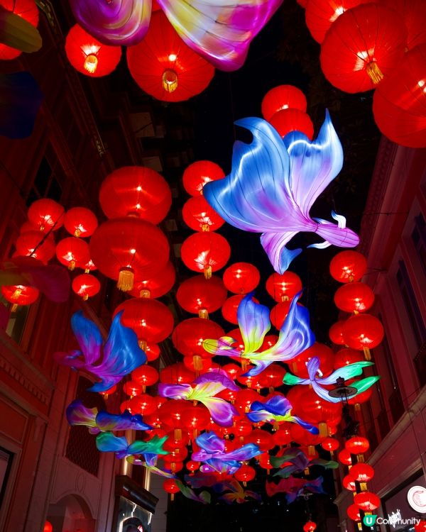 打卡必去｜利東街｜中秋綵燈盛宴｢喜魚映花月｣