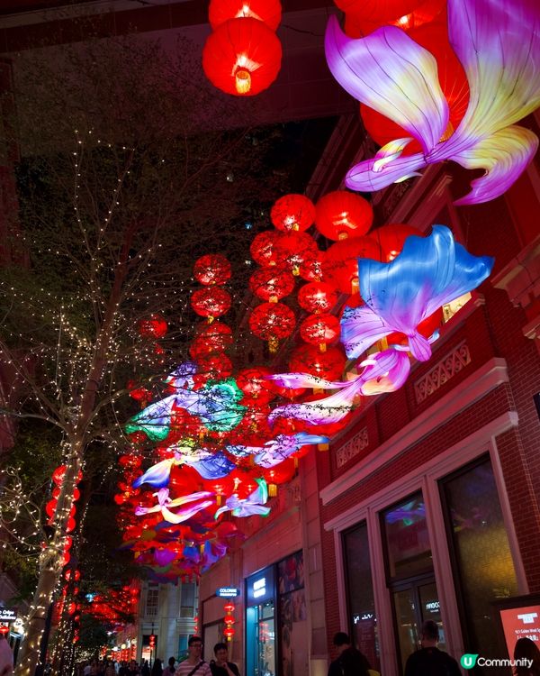 打卡必去｜利東街｜中秋綵燈盛宴｢喜魚映花月｣