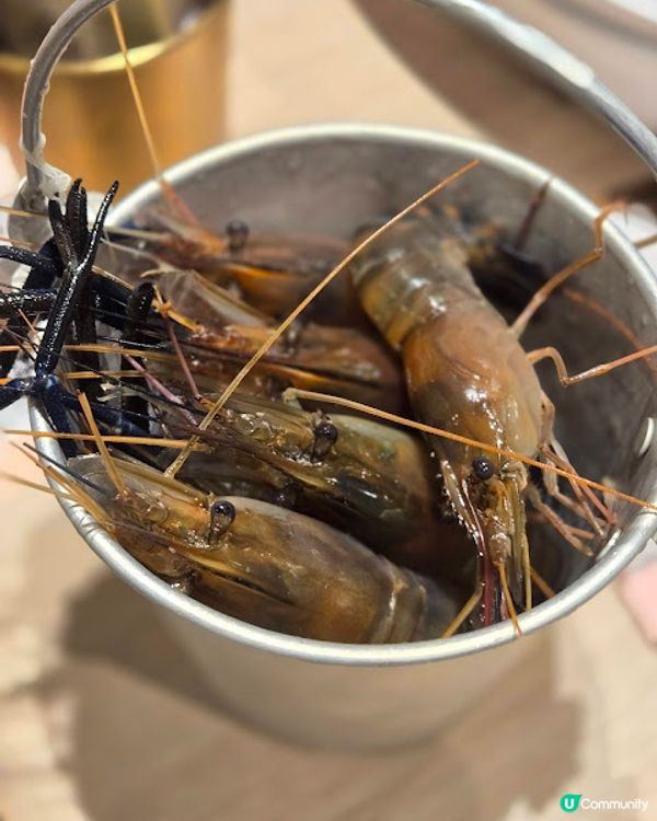 泰金鍋 - 火鍋放題夜