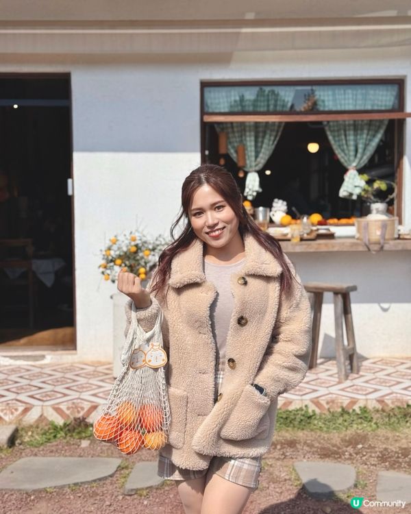 🇰🇷春天濟州橘子咖啡店🍊