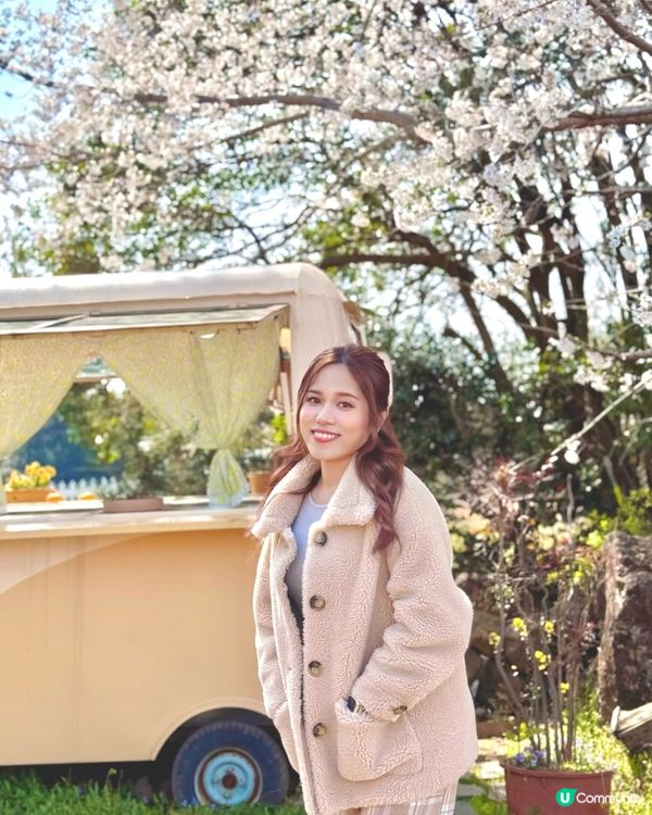 🇰🇷春天濟州橘子咖啡店🍊