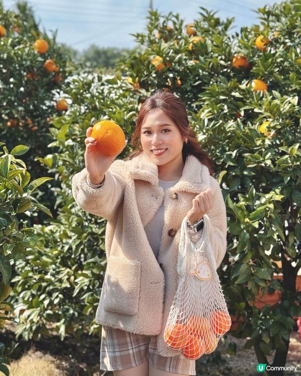 🇰🇷春天濟州橘子咖啡店🍊