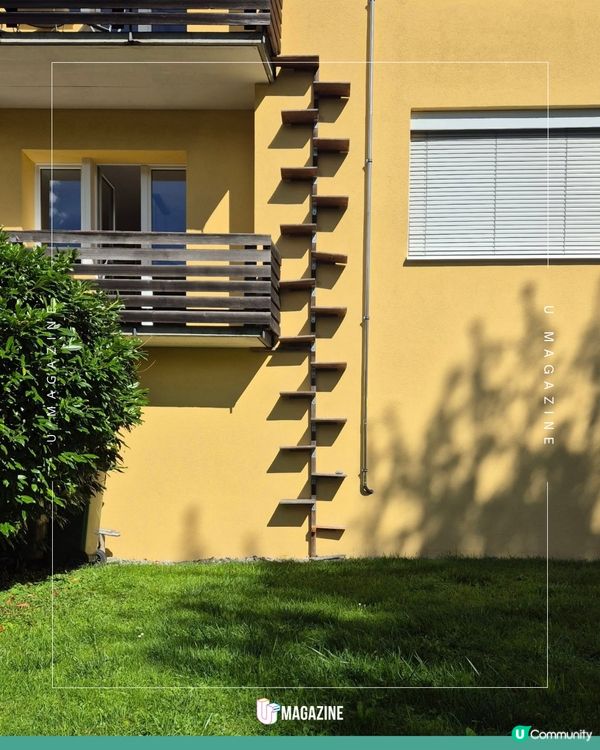 瑞士貓貓專用樓梯奇觀！一窺超暖心的貓咪天堂建築學