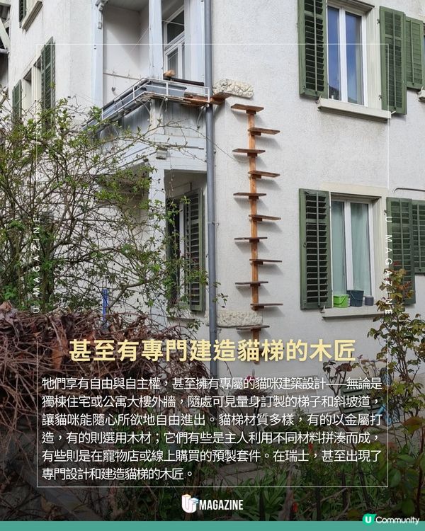 瑞士貓貓專用樓梯奇觀！一窺超暖心的貓咪天堂建築學
