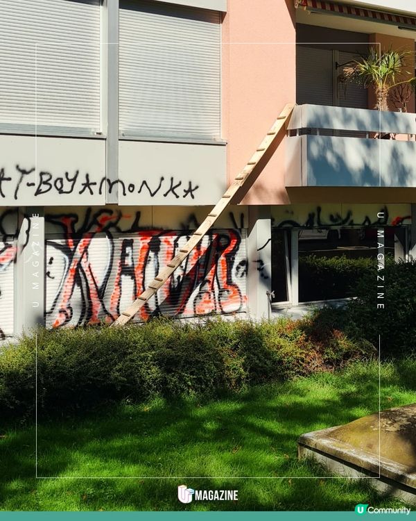 瑞士貓貓專用樓梯奇觀！一窺超暖心的貓咪天堂建築學