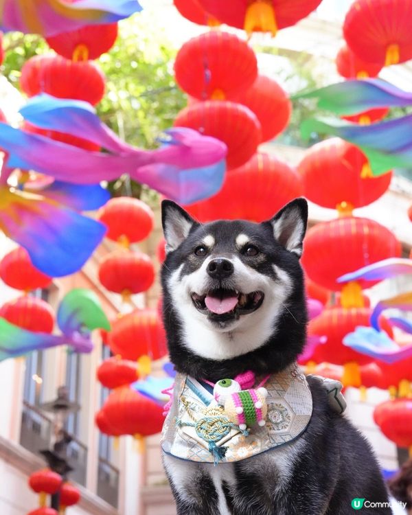 中秋打卡第一站📸利東街🌕🏮