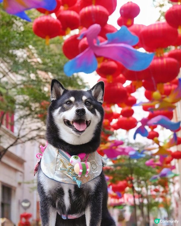 中秋打卡第一站📸利東街🌕🏮