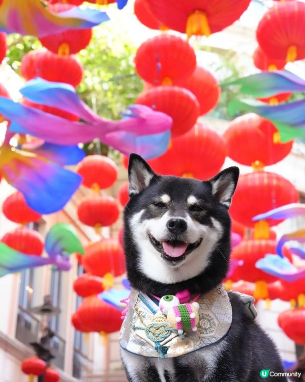 中秋打卡第一站📸利東街🌕🏮