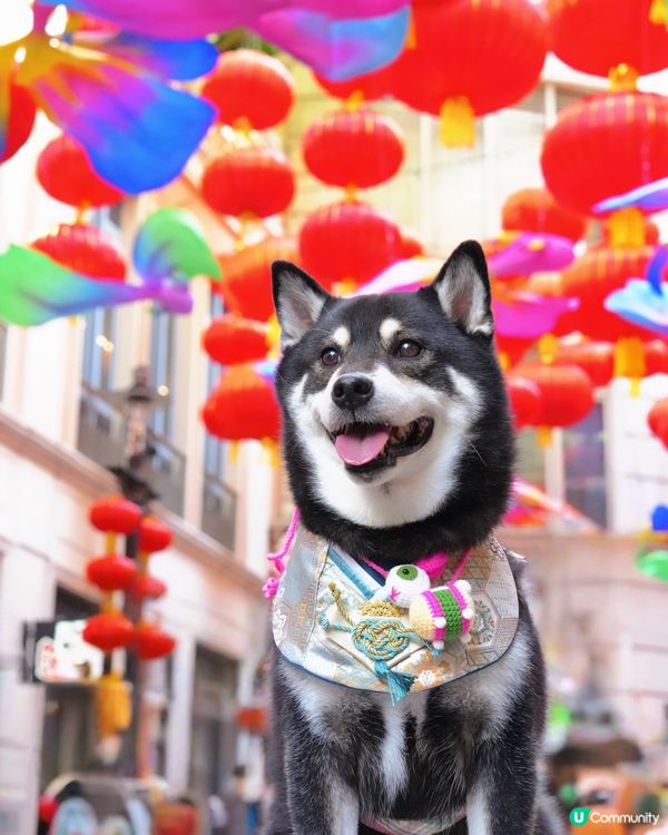 中秋打卡第一站📸利東街🌕🏮