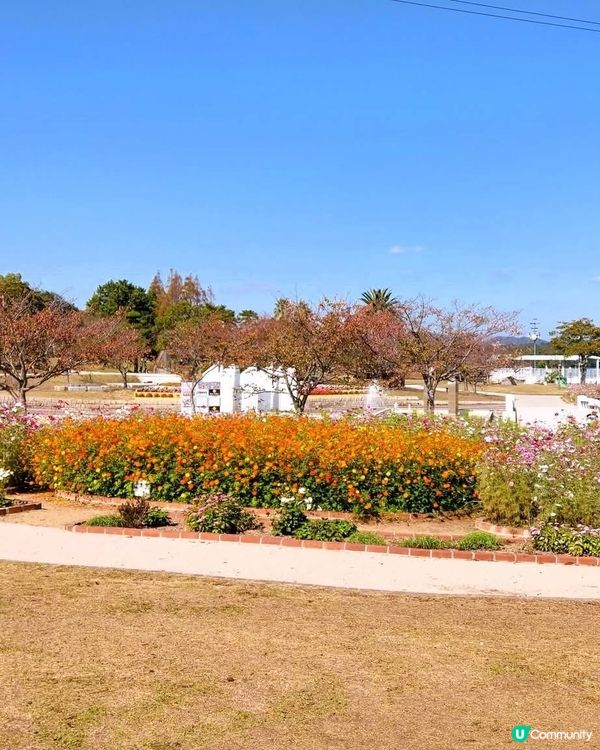 常盤公園一日遊！📸 藝術+自然🌿 玩足全日！