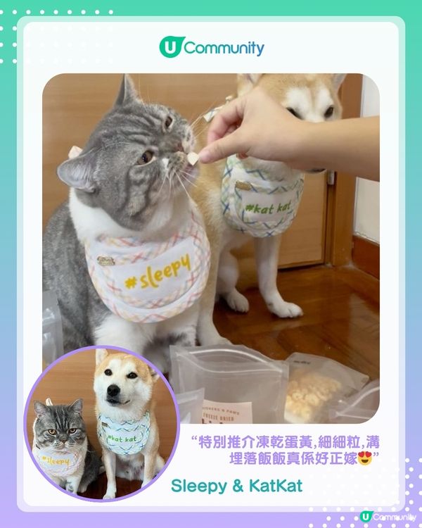 【#UCreator實測報告】Whiskers N Paws寵物凍乾零食