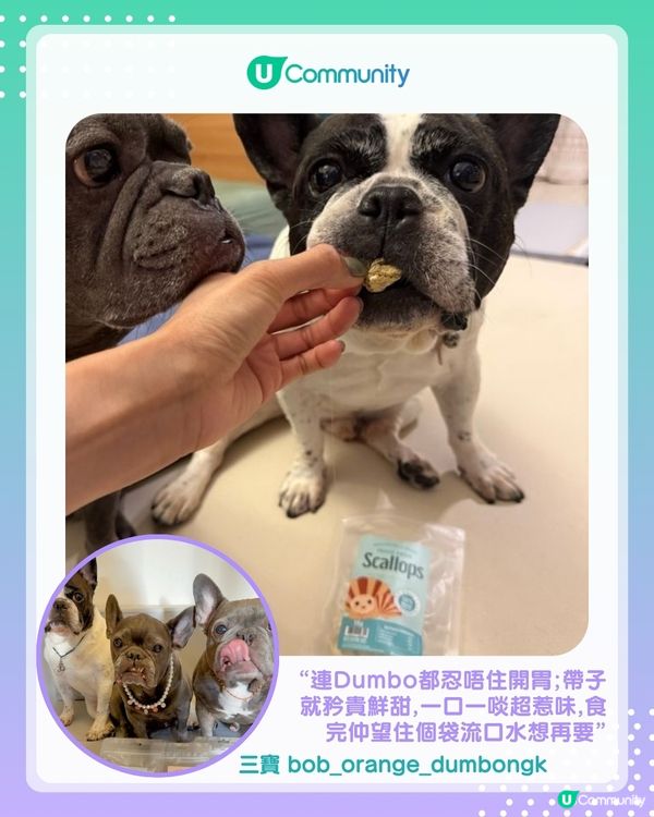 【#UCreator實測報告】Whiskers N Paws寵物凍乾零食