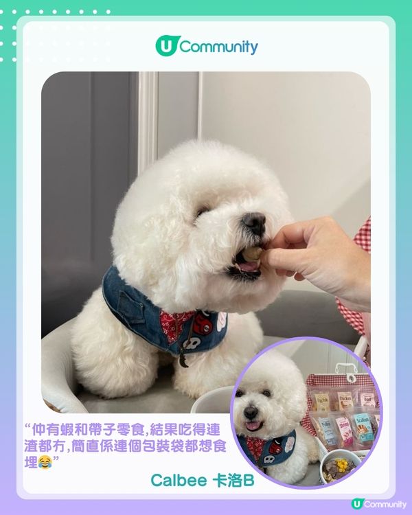 【#UCreator實測報告】Whiskers N Paws寵物凍乾零食