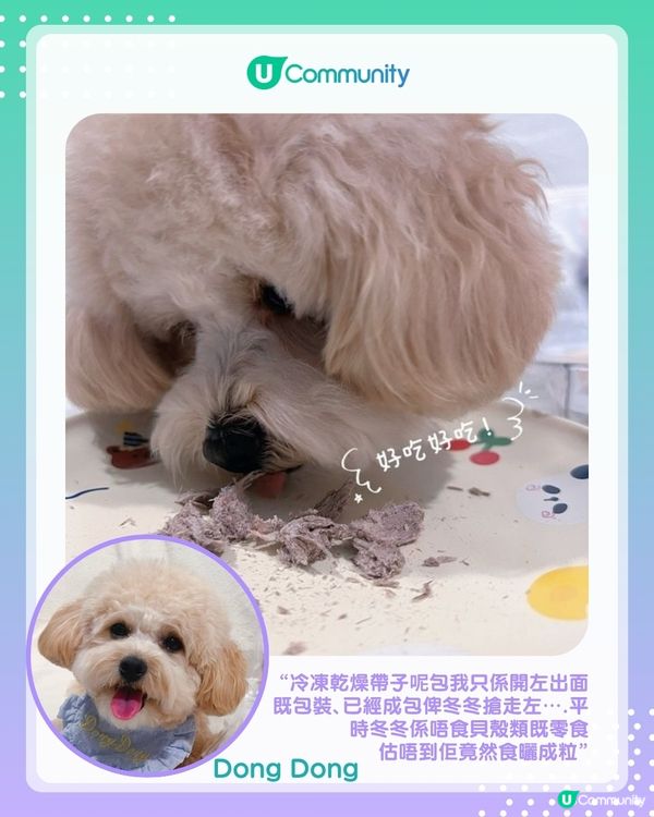 【#UCreator實測報告】Whiskers N Paws寵物凍乾零食