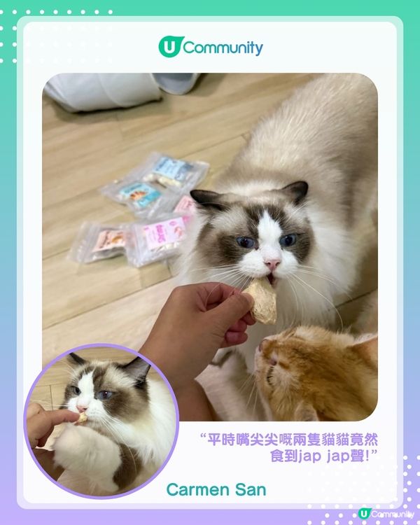 【#UCreator實測報告】Whiskers N Paws寵物凍乾零食